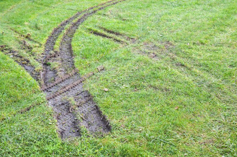 Lawn Ruts Repair
