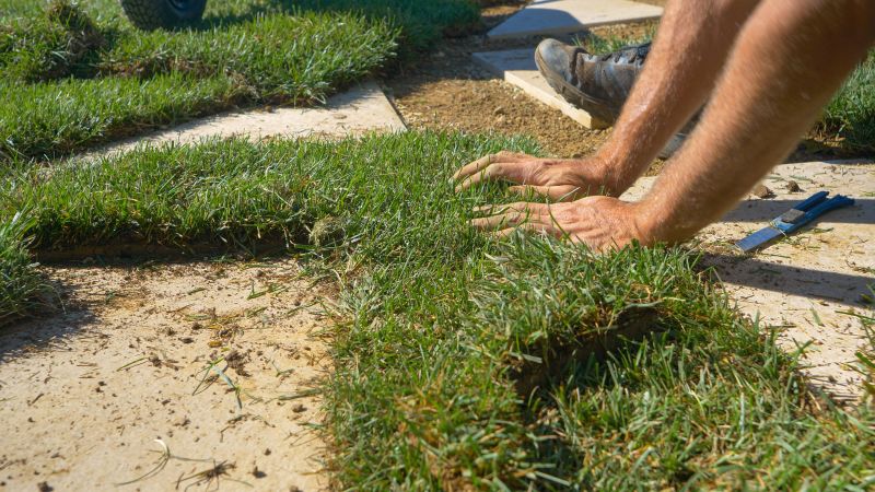 Lawn Ruts Repair