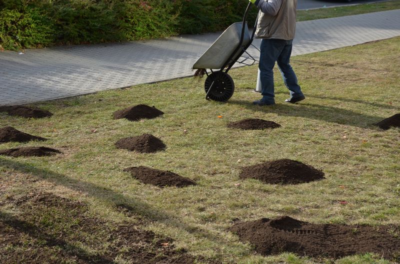 Lawn Ruts Repair