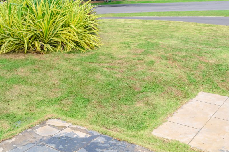 Lawn Ruts Repair