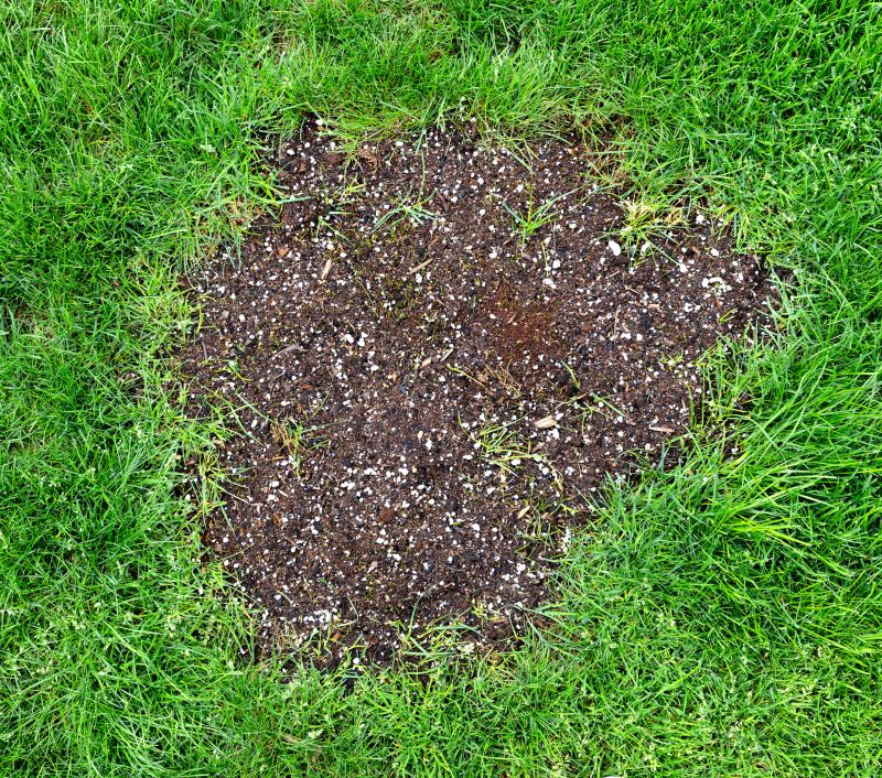 Lawn Ruts Repair